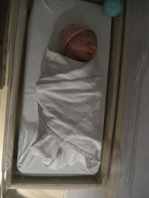 Thomas David
